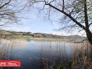 Seltenheit - Grundstück am Mattsee, kein Bauland, 199000 €, Immobilien-Grund und Boden in 5163 Mattsee Seltenheit - Grundstück am Mattsee, kein Bauland, 199000 €, Immobilien-Grund und Boden in 5163 Mattsee