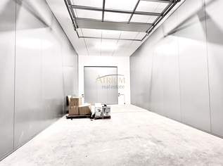Hochwertige Ziegelmassivhalle inkl. laufender Mieteinnahmen direkt an der B17., 103905 €, Immobilien-Gewerbeobjekte in 2601 Sollenau Hochwertige Ziegelmassivhalle inkl. laufender Mieteinnahmen direkt an der B17., 103905 €, Immobilien-Gewerbeobjekte in 2601 Sollenau