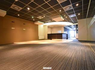 284 m² NUTZFLÄCHE – ZENTRUM VON STEYR – AB SOFORT VERFÜGBAR! Barrierefreie Büro- und Geschäftsfläche im Zentrum von Steyr – moderne IT-Infrastruktur, Klimatisierung und zeitgemäße Ausstattung!, 2768.99 €, Immobilien-Gewerbeobjekte in 4400 Steyr 284 m² NUTZFLÄCHE – ZENTRUM VON STEYR – AB SOFORT VERFÜGBAR! Barrierefreie Büro- und Geschäftsfläche im Zentrum von Steyr – moderne IT-Infrastruktur, Klimatisierung und zeitgemäße Ausstattung!, 2768.99 €, Immobilien-Gewerbeobjekte in 4400 Steyr