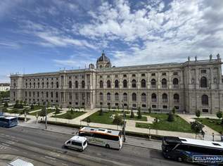 Exklusiver Altbaujuwel in Wiener Toplage | ZELLMANN IMMOBILIEN, 4300 €, Immobilien-Wohnungen in 1010 Innere Stadt