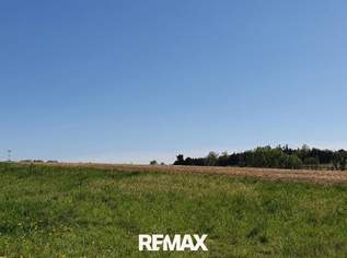 ***TOP LAGE*** Exklusives Baugrundstück mit Panoramablick in Ansfelden, 0 €, Immobilien-Grund und Boden in 4053 Ansfelden ***TOP LAGE*** Exklusives Baugrundstück mit Panoramablick in Ansfelden, 0 €, Immobilien-Grund und Boden in 4053 Ansfelden