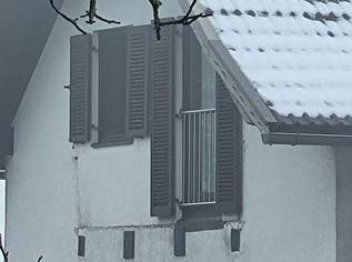 JOSEF STEINER Fenstergitter Classic in Edelstahl, vormontiert - Breite: 96 - 108 cm, Höhe: 100 cm, 120 €, Haus, Bau, Garten-Hausbau & Werkzeug in 9220 Velden am Wörther See