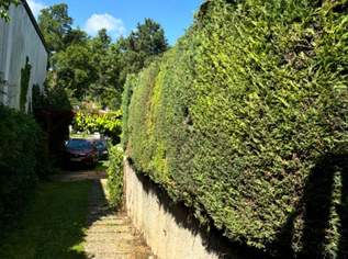 Gartenpflege und Schneeräumung!