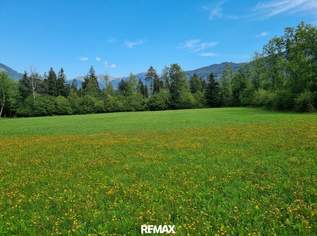 Schöne Grünlandfläche in der Gemeinde Kleblach/Lind, 34096 €, Immobilien-Grund und Boden in 9753 Kleblach