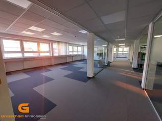 Raum für große Ideen – Ihr neuer Bürostandort nahe Puch-Urstein, 12660 €, Immobilien-Gewerbeobjekte in 5412 Puch bei Hallein