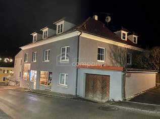 Großes Mehrfamilienhaus in Artstetten, 17 Zimmer, Garten, Garagen, Top Ausstattung!, 1300000 €, Immobilien-Häuser in 3661 Artstetten