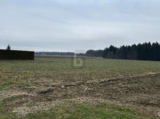 3 SEPARATE BAUGRUNDSTÜCKE IN RUHIGER LAGE, 120 €, Immobilien-Grund und Boden in 8424 Gabersdorf