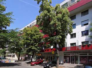 Wohnpark Molkereistraße Top 9, 418000 €, Immobilien-Wohnungen in 1020 Leopoldstadt