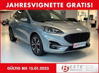 Kuga 2,0 EcoBlue Hybrid ST-Line X Aut.