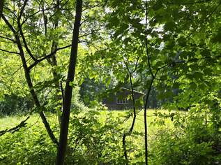 Landwirtschaftliche Fläche mit Waldgrundstück und Gebäude, 35000 €, Immobilien-Grund und Boden in 8254 Pittermann Landwirtschaftliche Fläche mit Waldgrundstück und Gebäude, 35000 €, Immobilien-Grund und Boden in 8254 Pittermann