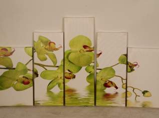 Wandbild 5-teilig, ORCHIDEEN