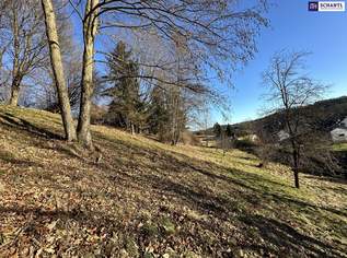 PREISSCHMANKERL! Attraktiver Baugrund inkl. Bewilligung für Wohnbauprojekt mit 4 Doppelhaushälften! Jetzt Anfragen!, 248800 €, Immobilien-Grund und Boden in 8072 Fernitz PREISSCHMANKERL! Attraktiver Baugrund inkl. Bewilligung für Wohnbauprojekt mit 4 Doppelhaushälften! Jetzt Anfragen!, 248800 €, Immobilien-Grund und Boden in 8072 Fernitz
