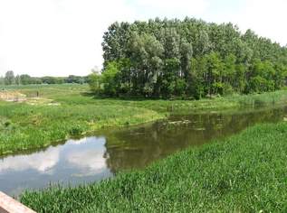 Traum Baugrund 20 min. von Nikelsdorf, Naturschutzgebiet, Fischen, Aufgeschlossen + Glasfaseranschluss!