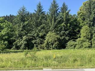 Grundstücksflächen mit Bauland-Anteil und landwirtschaftlichem Nutzungspotenzial in Pudlach bei Lavamünd, 120000 €, Immobilien-Grund und Boden in 9155 Pudlach