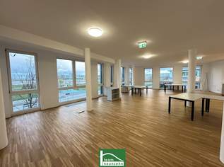 Büro mit Urlaubsfeeling! Arbeiten mit Blick auf den Asperner See - Moderne Bürofläche in der Seestadt. - WOHNTRAUM, 1432.32 €, Immobilien-Gewerbeobjekte in 1220 Donaustadt