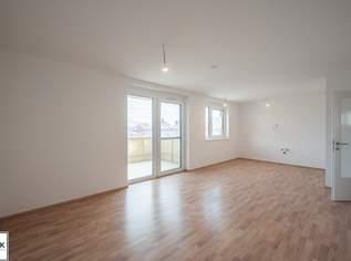 Go2Eisenstadt! Freundliche, helle 3 Zimmer Erstbezugswohnung + Balkon + Parkplätze, 1143.8 €, Immobilien-Wohnungen in 7000 Eisenstadt Go2Eisenstadt! Freundliche, helle 3 Zimmer Erstbezugswohnung + Balkon + Parkplätze, 1143.8 €, Immobilien-Wohnungen in 7000 Eisenstadt