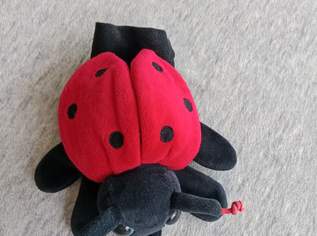 Handpuppe Marienkäfer, FIXPREIS 6€ /NUR SELBSTABHOLUNG,23 Bez. KEIN Versand!!!!!!! Handpuppe Marienkäfer, FIXPREIS 6€ /NUR SELBSTABHOLUNG,23 Bez. KEIN Versand!!!!!!!
