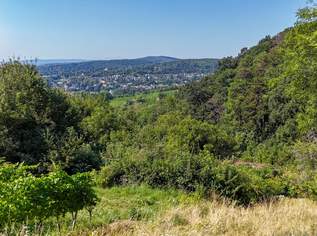 Ehemaliges Weinhauerhaus in einzigartiger Sieveringer Lage wartet auf Revitalisierung!, 1290000 €, Immobilien-Häuser in 1190 Döbling