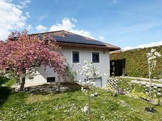 "Dein CHANCE - Dein ANGEBOT - Dein BUNGALOW!", 0 €, Immobilien-Häuser in 2522 Gemeinde Oberwaltersdorf