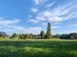 Ca. 1.170 m² Baugrundstück in ruhiger Naturlage nahe Bad Radkersburg und der Weinstraße!, 48900 €, Immobilien-Grund und Boden in 8484 Oberpurkla Ca. 1.170 m² Baugrundstück in ruhiger Naturlage nahe Bad Radkersburg und der Weinstraße!, 48900 €, Immobilien-Grund und Boden in 8484 Oberpurkla