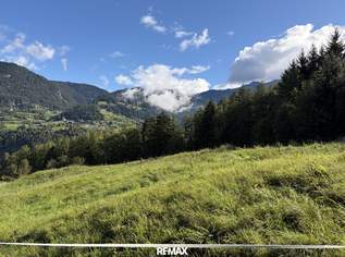 Zwei Freilandflächen mit vielseitiger landwirtschaftlicher Nutzung in Sautens!, 89000 €, Immobilien-Grund und Boden in 6432 Gemeinde Sautens Zwei Freilandflächen mit vielseitiger landwirtschaftlicher Nutzung in Sautens!, 89000 €, Immobilien-Grund und Boden in 6432 Gemeinde Sautens