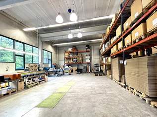 Top Firmenstandort in Bezirk Baden - Moderne Gewerbehalle mit Büros und Pauschalmietzins., 8000 €, Immobilien-Gewerbeobjekte in 2483 Katastralgemeinde Weigelsdorf