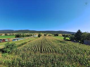 Aufleben in den Weinbergen | Exklusive Erstbezugswohnungen in der Thermenregion, 570000 €, Immobilien-Wohnungen in 2540 Bad Vöslau Aufleben in den Weinbergen | Exklusive Erstbezugswohnungen in der Thermenregion, 570000 €, Immobilien-Wohnungen in 2540 Bad Vöslau