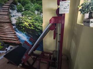 Hackenschmidt - Maschine Beinpresse Kniebeuge, 700 €, Marktplatz-Sportgeräte & Zubehör in 7071 Rust