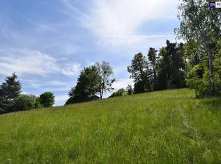 IDYLLE PUR! TRAUMHAFTER BAUGRUND Graz-St. Veit in absoluter Ruhelage! In einer Sackgasse gelegen und von der grünen Natur umgeben - SENSATIONELLER AUSBLICK! Jetzt anfragen und Details anfordern!, 479000 €, Immobilien-Grund und Boden in 8046 