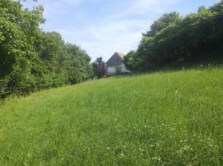 Sonniges Baugrundstück mit Aussicht im Naturpark Pöllauer Tal – nahe Hartberg Sonniges Baugrundstück mit Aussicht im Naturpark Pöllauer Tal – nahe Hartberg
