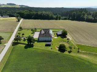 Neu adaptierter Vierkanter in Alleinlage, 1150000 €, Immobilien-Häuser in 3323 Gemeinde Neustadtl an der Donau