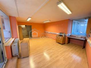 PREISHIT – großzügige Wohnung mit Entwicklungspotenzial nahe Hbf‑Wels, 179000 €, Immobilien-Wohnungen in 4600 Wels