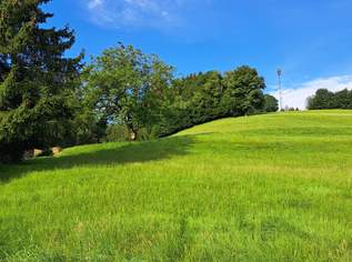 Baugrund ohne Bauzwang, 176375 €, Immobilien-Grund und Boden in 5241 Maria Schmolln