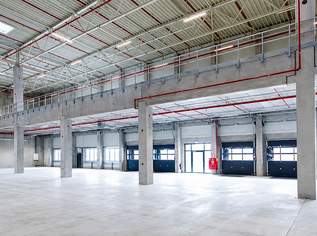 Kombination Lager 3579 m2 inklusive Büro 230 m2 südlich von Wien, 25053 €, Immobilien-Gewerbeobjekte in 2542 Kottingbrunn
