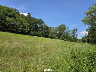 Landwirtschaftliches Grundstück, 19500 €, Immobilien-Grund und Boden in 7537 Neuberg im Burgenland