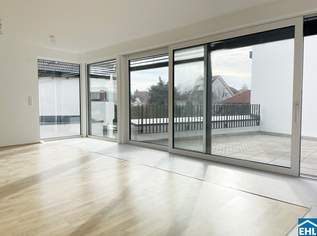 Eckreihenhaus ein Architekturjuwel in Ziegelmassivbauweise, 544000 €, Immobilien-Häuser in 2100 Korneuburg Eckreihenhaus ein Architekturjuwel in Ziegelmassivbauweise, 544000 €, Immobilien-Häuser in 2100 Korneuburg