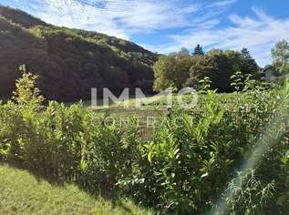 Gartenidylle pur! Provisionsfrei und sofort bezugsbereit!, 392900 €, Immobilien-Wohnungen in 1140 Penzing