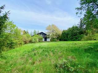 HAUS zu SANIEREN mit GARTEN im Wienerwald, 400000 €, Immobilien-Häuser in 3413 Hintersdorf HAUS zu SANIEREN mit GARTEN im Wienerwald, 400000 €, Immobilien-Häuser in 3413 Hintersdorf