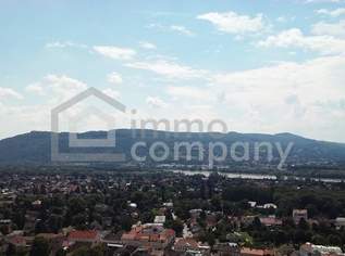 Historische Villa in Weidling, 1900000 €, Immobilien-Häuser in 3400 Gemeinde Klosterneuburg