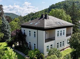 sanierte Altbauwohnung mit zwei Loggien & Blick ins Grüne I individuelle Anpassungen bei der Raumgestaltung inkl. Lift, Fußbodenheizung, Luftwärmepumpe u.v.m.!, 749000 €, Immobilien-Wohnungen in 3002 Purkersdorf