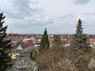 "Baugrund mit grandioser Aussicht", 299000 €, Immobilien-Grund und Boden in 3433 Gemeinde Königstetten