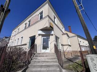 12 Zimmer Haus mit Geschäftslokal auf 948 m2 Grundstück, 885000 €, Immobilien-Häuser in 2500 Gemeinde Baden