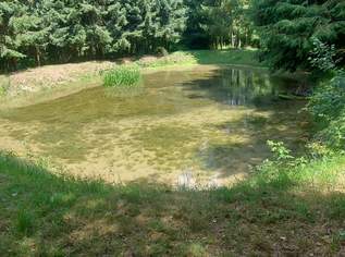 Fischteich (ca. 500m2) in Wels-Land zu verkaufen, 0 €, Immobilien-Grund und Boden in 4600 Schleißheim