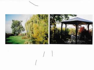 Gartengrundstück, 200 €, Immobilien-Grund und Boden in 3580 Gemeinde Horn Gartengrundstück, 200 €, Immobilien-Grund und Boden in 3580 Gemeinde Horn