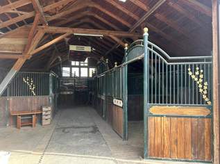 Exklusiver Pferdehof mit 2 Wohneinheiten, Reithalle & großem Grund in Hochneukirchen, 700000 €, Immobilien-Häuser in 2852 Hochneukirchen Exklusiver Pferdehof mit 2 Wohneinheiten, Reithalle & großem Grund in Hochneukirchen, 700000 €, Immobilien-Häuser in 2852 Hochneukirchen