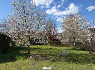 "PREISREDUKTION – Familientraum mit Obstgarten", 445000 €, Immobilien-Häuser in 3434 Katzelsdorf