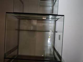 Terrarium Glas , 350 €, Marktplatz-Tiere & Tierbedarf in 6176 Marktgemeinde Völs