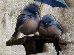 JOSEPHINE UND JOSEFA !! JOSEPHINE UND JOSEFA !!