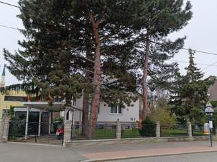 Grundstück mit Bastlerhaus, 1790000 €, Immobilien-Grund und Boden in 1210 Floridsdorf Grundstück mit Bastlerhaus, 1790000 €, Immobilien-Grund und Boden in 1210 Floridsdorf