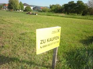 Kleines Baugrundstück am Stadtrand in Purbach !, 135000 €, Immobilien-Grund und Boden in 7083 Purbach am Neusiedler See Kleines Baugrundstück am Stadtrand in Purbach !, 135000 €, Immobilien-Grund und Boden in 7083 Purbach am Neusiedler See